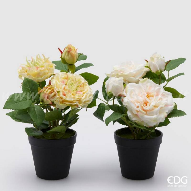 Pianta di Rose Olis Artificiali EDG con Vaso – Giallo - h 28 cm