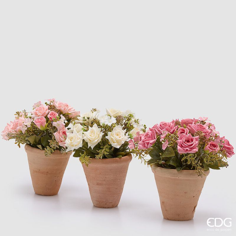 Composizione Floreale Roselline Bianche in Vaso di Terracotta EDG - 15x30 cm