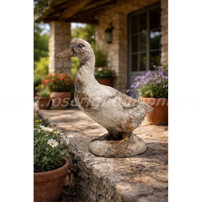 Oca Decorativa