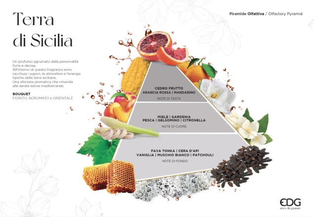 edg-profumatore-ambiente-bastoncini-100-ml-terra-di-sicilia-1