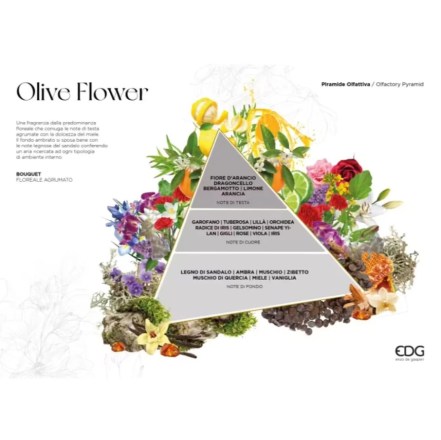 piramide-olfattiva-olive-flower