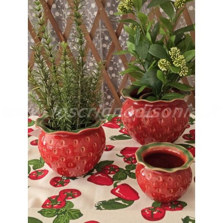vasi-freaki-ceramica-fragola-edg6
